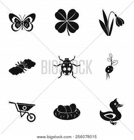 Kaleyard Icons Set. Simple Illustration Of 9 Kaleyard Icons For Web