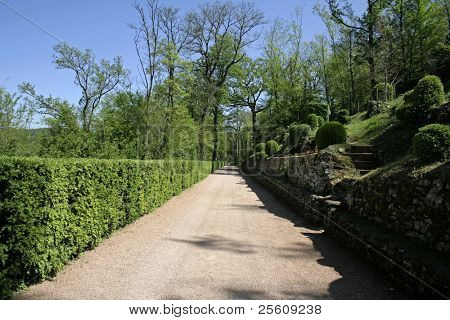 voie menant dans les jardins de marqueyssac, france