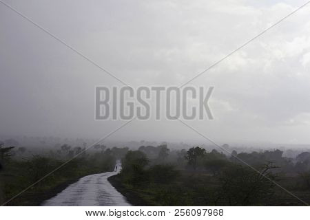 Lonely Wet Road During Monsoon At Supa, Maharashtra, India
