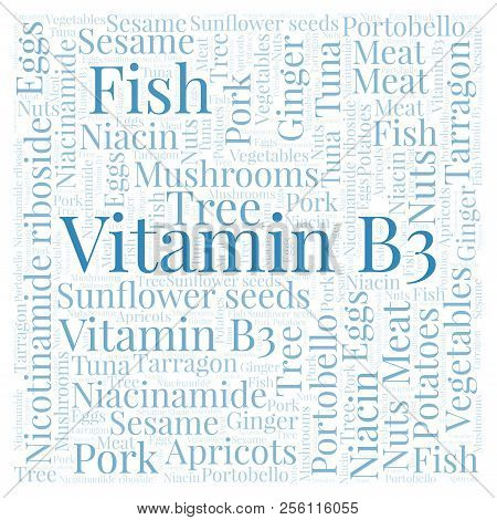Vitamin B3 In A Square Shape Word Cloud. Wordcloud Made With Text Only.