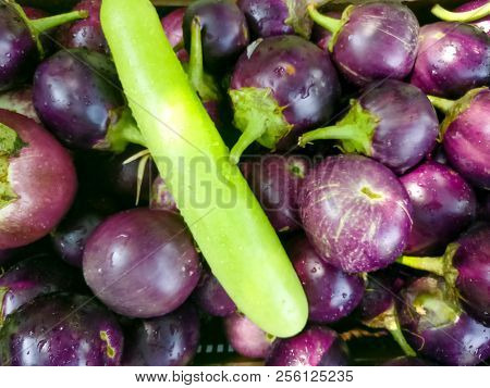 Flat Shot Of Brinjals, Loki, Bottle Gourd, Cabbage Laid Out