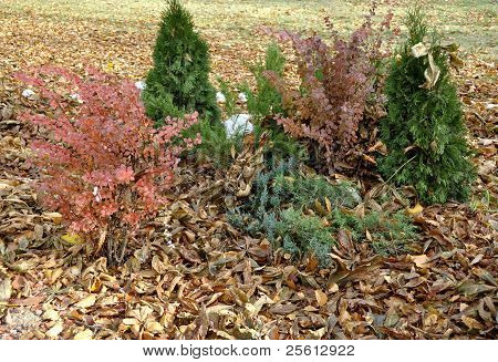 Landscape design na podzim