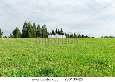 Sunny Meadow And Hay Making. Season Of Harvest In Agriculture.