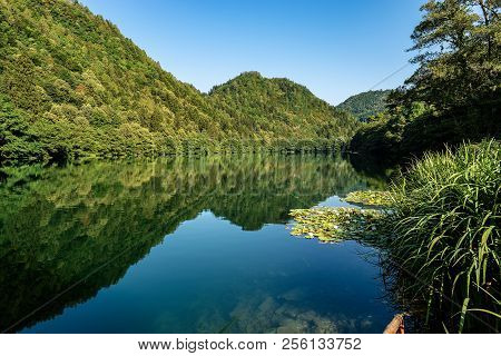 Lake Of Levico (alpine Lake) With Water Lilies And Flowers, Levico Terme, Trentino Alto Adige, Italy