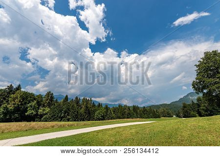 Forest, Green Grass And Dirt Road In Summer. Val Di Sella (sella Valley), Borgo Valsugana, Trento, T