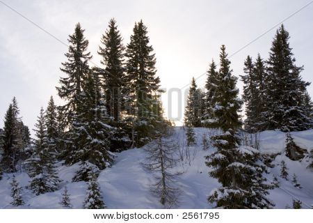 Flaine