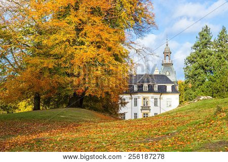 Golden Autumn Park Near Charlottenlund Palace, North Of Copenhagen