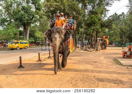 Elephant In Angkor Wat, Cambodia