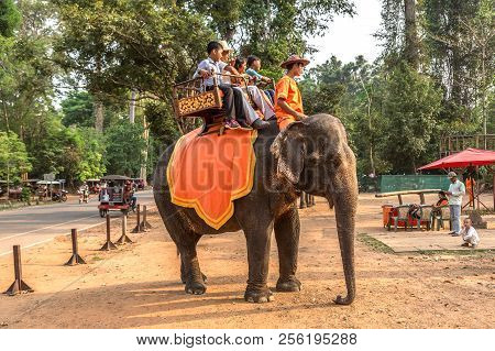 Elephant In Angkor Wat, Cambodia