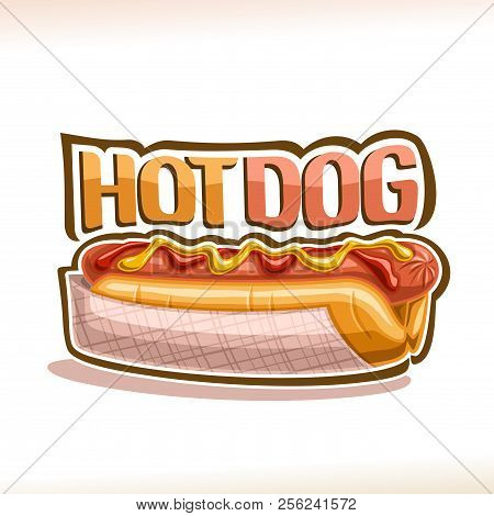Vector Poster For Hot Dog, Pork Sausage In Fresh Cut Bun With Yellow Mustard And Tomato Ketchup, Ori