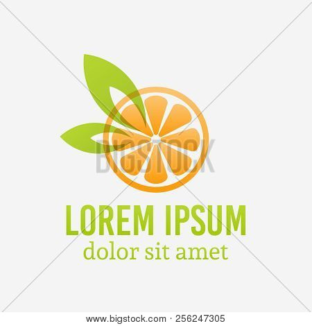 Orange Fruit Slice Logo Template With Sample Text
