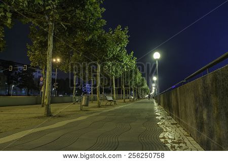 Tress Along A Pathway With A View Of Rhine Tower In The Background In Dusseldorf, Germany At Night.