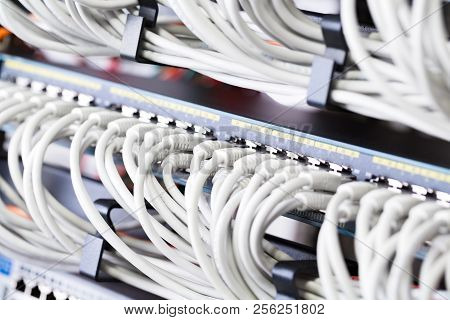 Gigabit Network Switch And Perfect Aligned Patch Cables In Datacenter