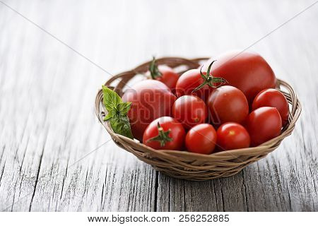 Fresh Tomatoes With Basil Leaves. Concept For A Tasty And Healthy Meal.