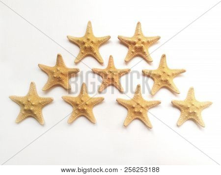 Yellow Starfish On White Background, Sea Photophone