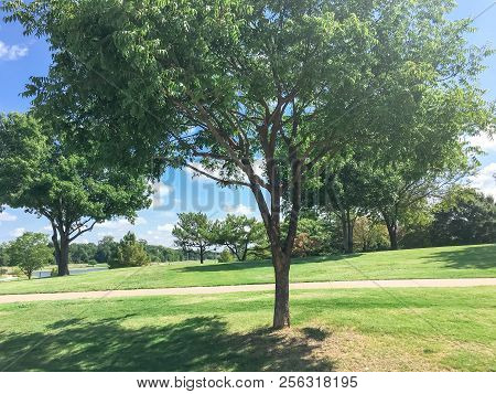 Beautiful Green Park With Pathway Trail In Coppell, Texas, Usa
