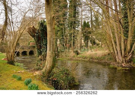 Trees, Stream And Bridge In A Picturesque Location On England