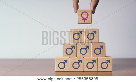 Concept Of Wooden Male And Female Sex Symbols