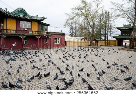 Gandan Buddhist Monastery - Ulaanbaatar City - Mongolia