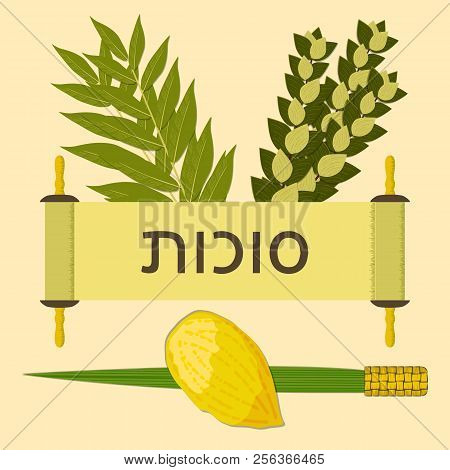 Sukkot. Concept Of Judaic Holiday. Traditional Symbols - Etrog, Lulav, Hadas, Arava. Torah Scroll He