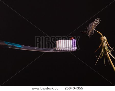 Conceptual Compassion On The Black Background, Macro; Environment Care, Milieu, Nature, Plastic, Pro
