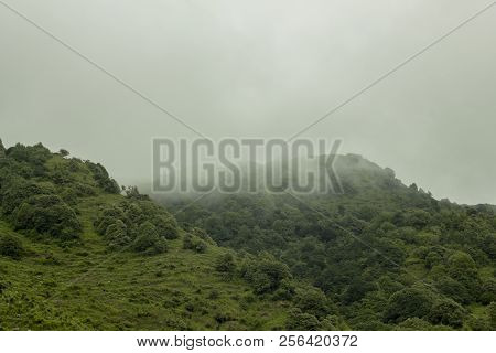 Green Hills Forest In The Foggy And Clouds