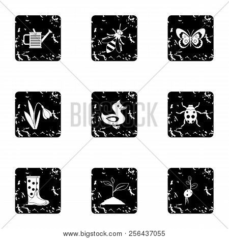 Kaleyard Icons Set. Grunge Illustration Of 9 Kaleyard Icons For Web