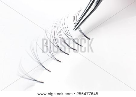 Master Of Eyelash Extensions Works With Tweezers, Forms Bundle From Pallet