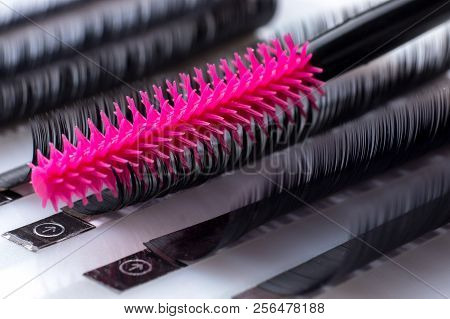 Eyelash Extension Procedure. Set Lashes Close Up Pink Comb