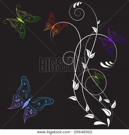 Mariposa