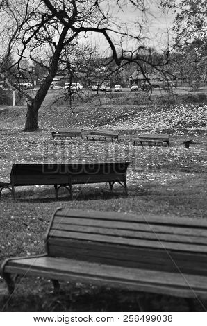Geometry From The Bench In The Park, Black And White