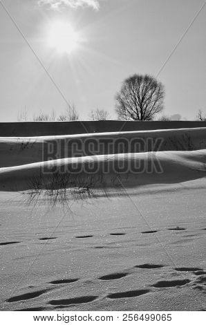 Black And White Rhythmic Landscape On A River Or Lake In Winter