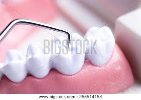Dentist Cleaning Teeth