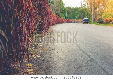 Oad Street Way Among With Red Leaves And Trees At Countryside. (selective Focus)