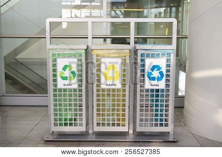 Containers For Garbage Of Different Types. Sorting Garbage. Ecology And Recycle Concept. Waste Sorti