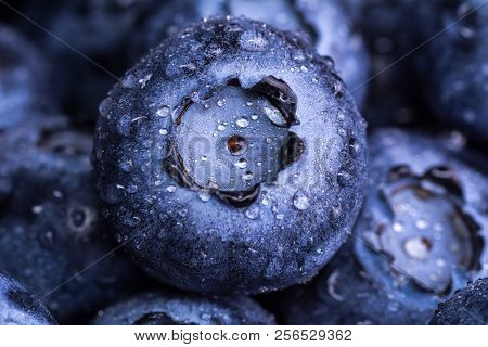 Fresh Ripe Blueberry With Drops Of Dew. Berry Background. Macro Photo.