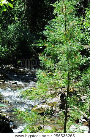 Cascade Of Waterfalls On The Third River. The Republic Of Gorny Altai. Siberia.