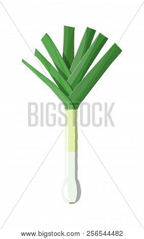 Ripe Vegetable Bitter Onion With Green Stem. Green Onion Isolated On White Background. Organic Healt