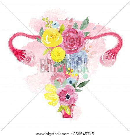 Beautiful Illustration With Watercolor Part Of Woman Body Uterus With Flowers