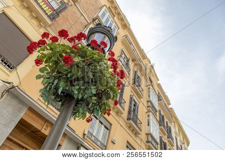 Detail Of Lamp Post And Floral Ornament With Classic Architecture And Building In The Background, At