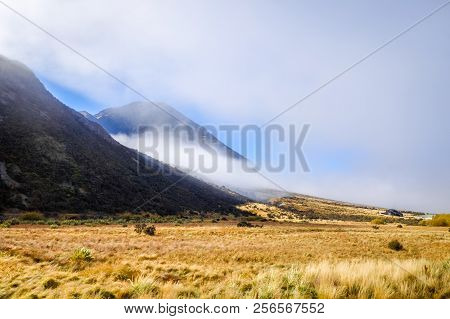 Mountain Fields Landscape In New Zealand Alps