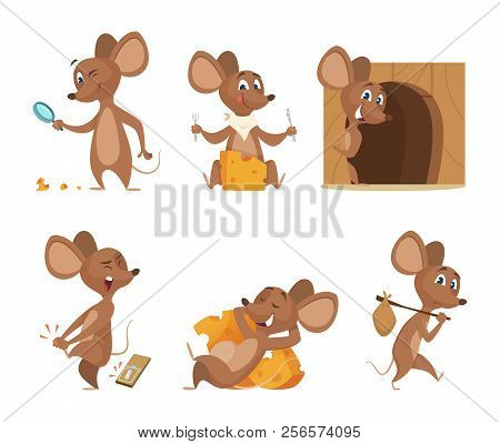 Mouse Character. Funny Cartoon Mice. Vector Clipart Isolated On White. Illustration Of Mouse Mascot,