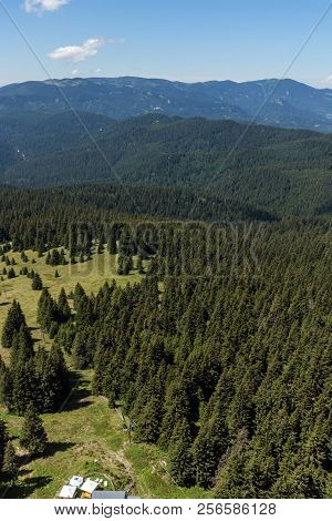 Amazing Landscape Of Rhodope Mountains From Snezhanka Tower Near Ski Resort Pamporovo, Smolyan Regio