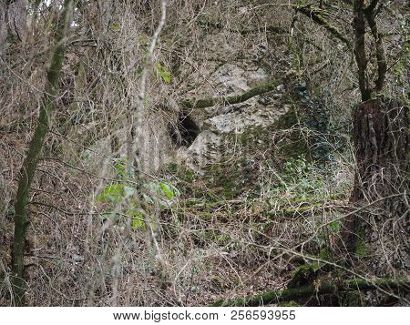 View On A Forest In The French Countryside Near The Village Of Aze, France