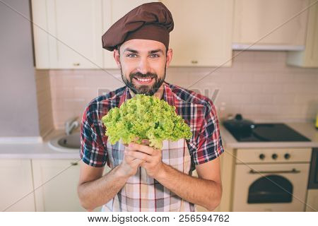 Nice And Cheerful Man Stands And Looks On Camera. He Is Happy. Guy Holds Green Letuce In Hands. Man 