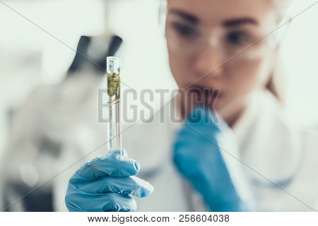 Closeup Scientist Looks At Sampes In Laboratory. Young Researcher Wearing White Coat Gloves And Prot