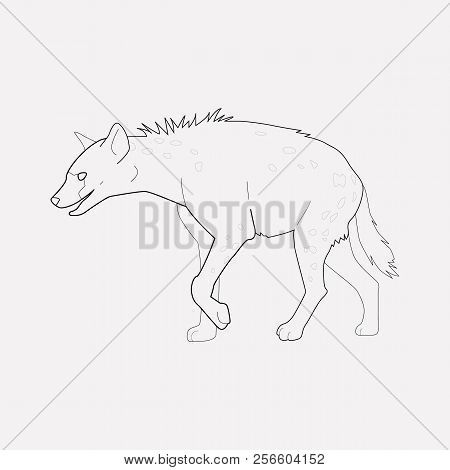 Hyena Icon Line Element. Vector Illustration Of Hyena Icon Line Isolated On Clean Background For You