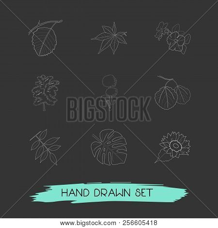 Set Of Botany Icons Line Style Symbols With Decorative Tree, Sunflower, Tropical Leaf And Other Icon
