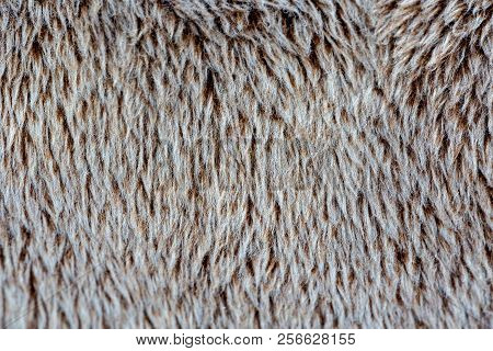 Brown Fur Is Pleasant To The Touch, Pile. Background.