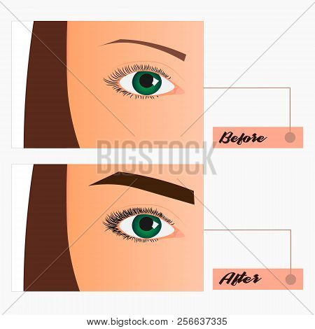 Eyebrows Desing And Eyelashes Extension. Set Of Well-groomed And Shaggy Eyebrows. Before And After T